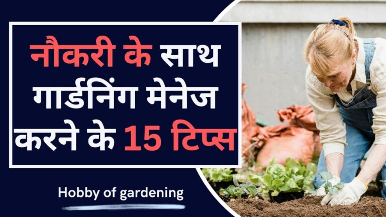 Hobby of gardening- नौकरी के चलते गार्डनिंग के शौक को दबा लिया है, तो ऐसे करें काम के साथ बागवानी मेनेज