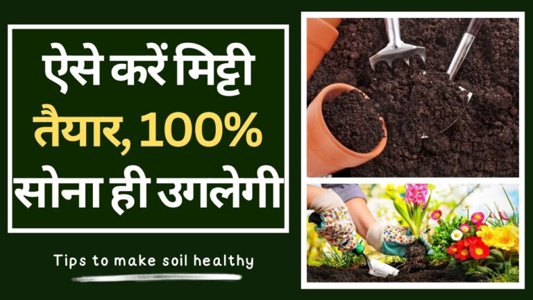 Soil tips- मिट्टी में जान होगी तभी पौधों में जान आएगी, जानिए इसको ताकतवर बनाने का तरीका
