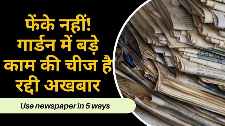 घर का रद्दी अखबार गार्डन में डाल देगा नई जान, ऐसे करें प्रयोग