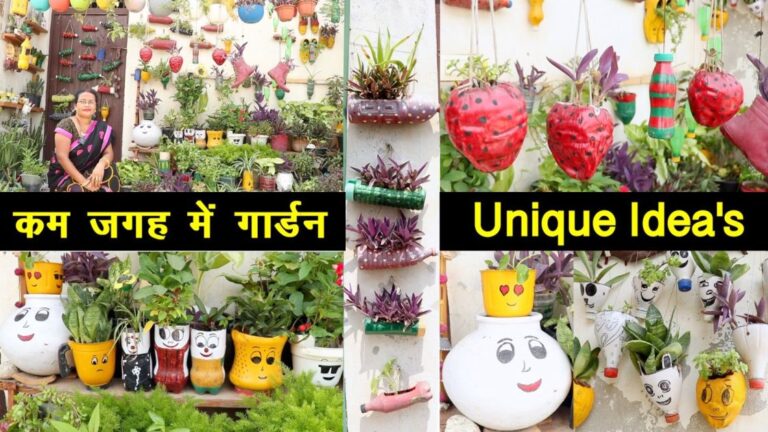 Less space gardening: एक दीवार पर ही लगा दिए 1000 से ज्यादा पौधे, चुरा लो कम जगह में गार्डन बनाने का idea