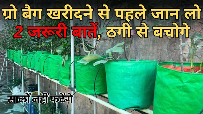Grow bags: अच्छे ग्रो बैग की पहचान के लिए इन दो बातों का रखें ध्यान