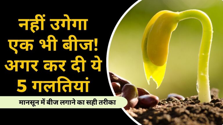 Monsoon vegetables: मानसून में बीज लगाते समय की जाने वाली 5 गलतियां, जानें सही तरीका