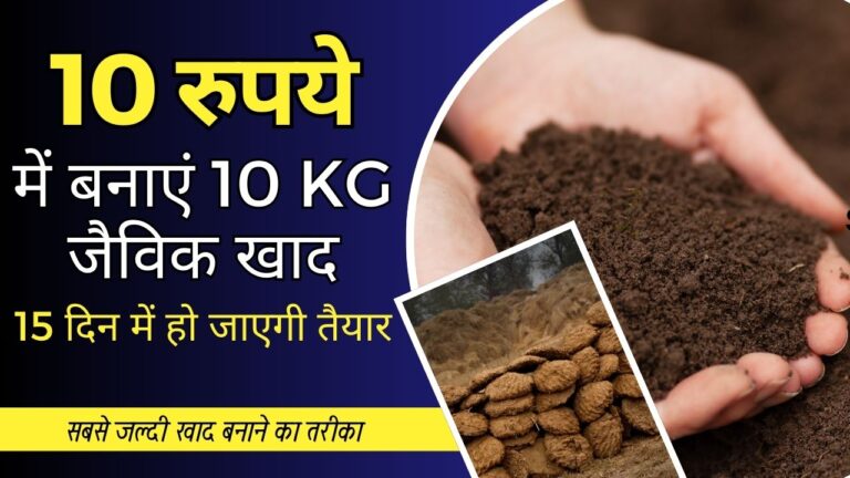 10Rs में 10 किलो ऑर्गेनिक खाद बनाएं, इसके आगे सभी खाद फेल