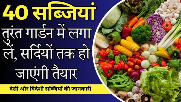 Vegetables- सितंबर में उगने वाली 40 सब्जियों की लिस्ट, जल्दी लगाएं