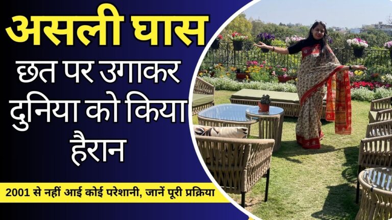 छत पर उगाएं असली घास, फॉलों करें सुरक्षा मानक