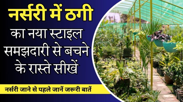 plant-नर्सरी से प्लांट खरीद रहे हैं, तो इन बातों का ध्यान जरुर रखें