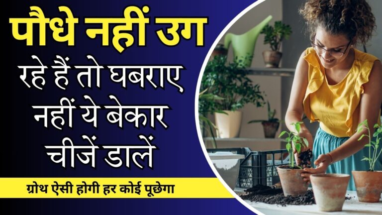 गार्डन में आसानी से नहीं उगते हैं पौधे, तो जड़ों के आसपास डालें ये चीज