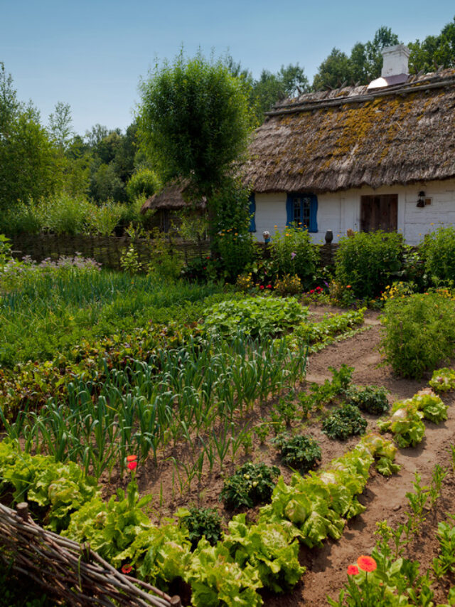 Organic gardening- ये चार नुस्खे आपको गार्डनिंग में बना देंगे माहिर