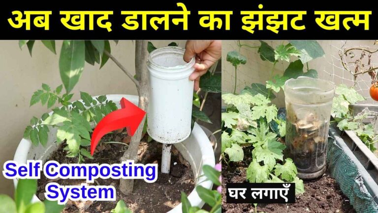 गार्डन के लिए तैयार करें Self composting system
