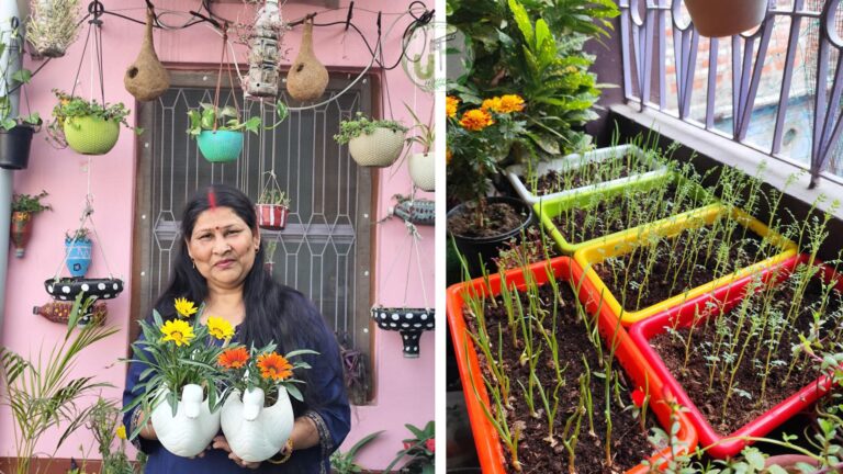 🏡 गमले रखने से मना करने वाली फैमिली आज गार्डनिंग की दीवानी! मिलिए ‘प्लांट लेडी’ निर्मला से